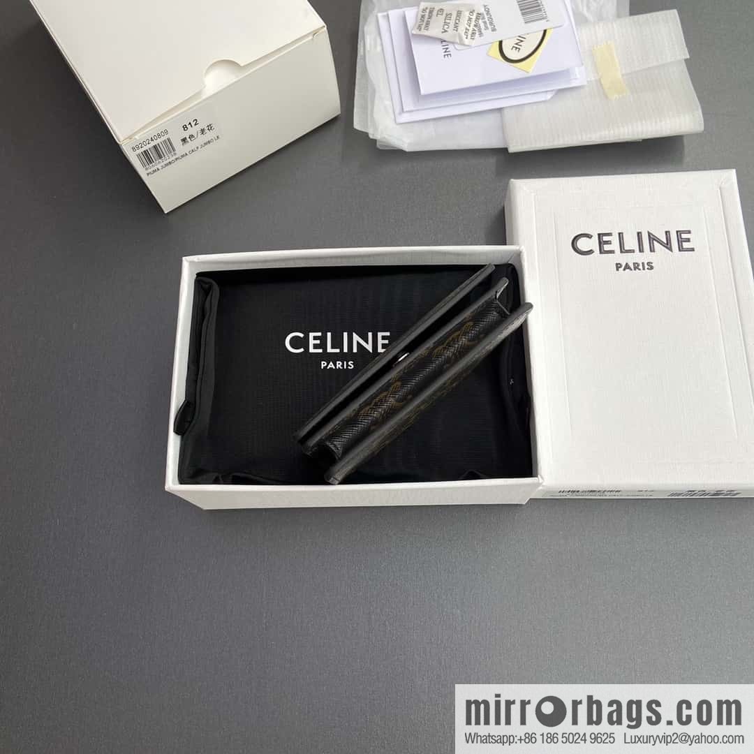 CELINE TRIOMPHE Logo Printed Business Card Case 10J812BZR.38SI