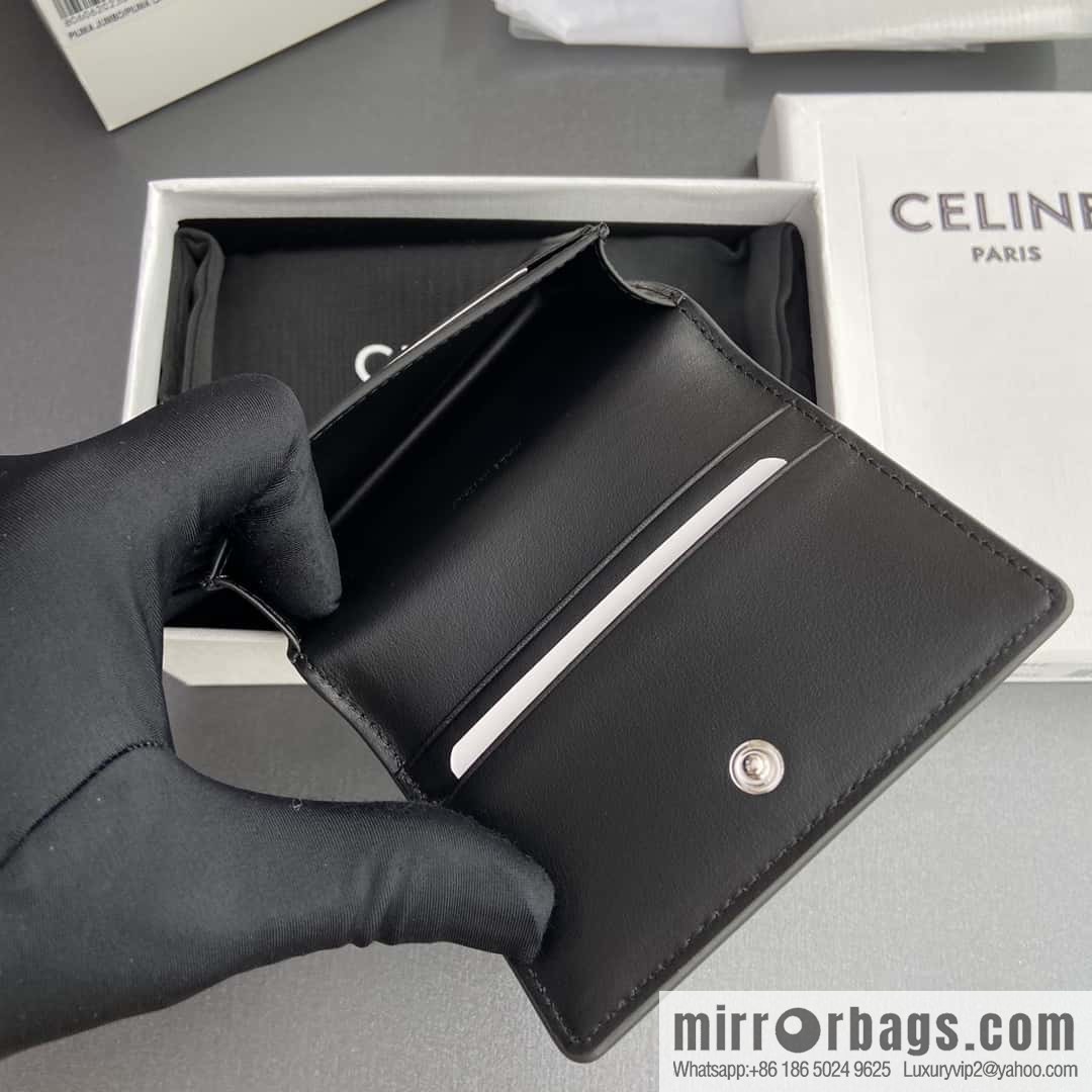 CELINE TRIOMPHE Logo Printed Business Card Case 10J812BZR.38SI