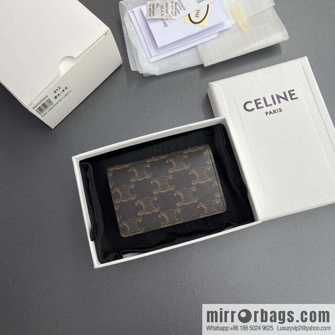 CELINE TRIOMPHE Logo Printed Business Card Case 10J812BZR.38SI