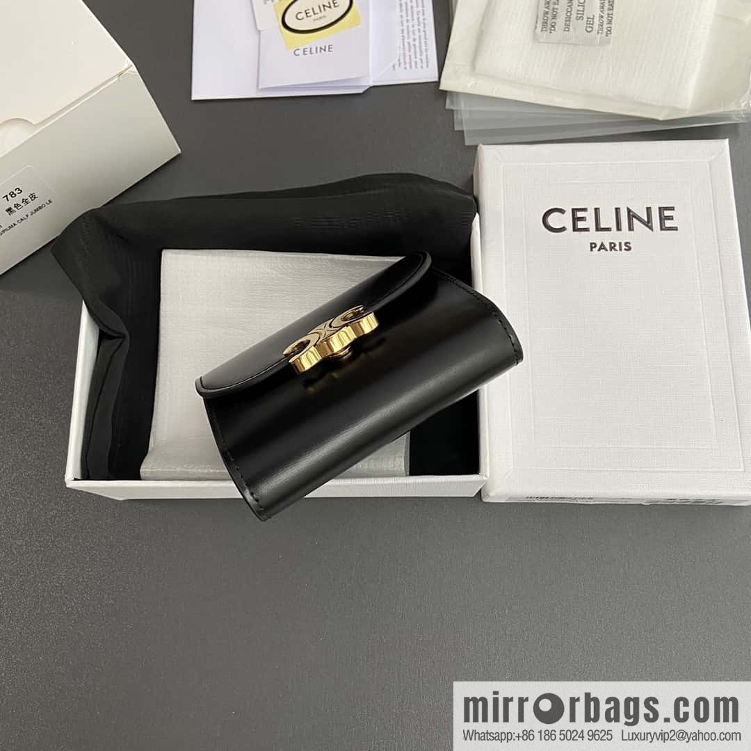 CELINE TRIOMPHE shiny cow leather wallet 10D782CQH.04LU783