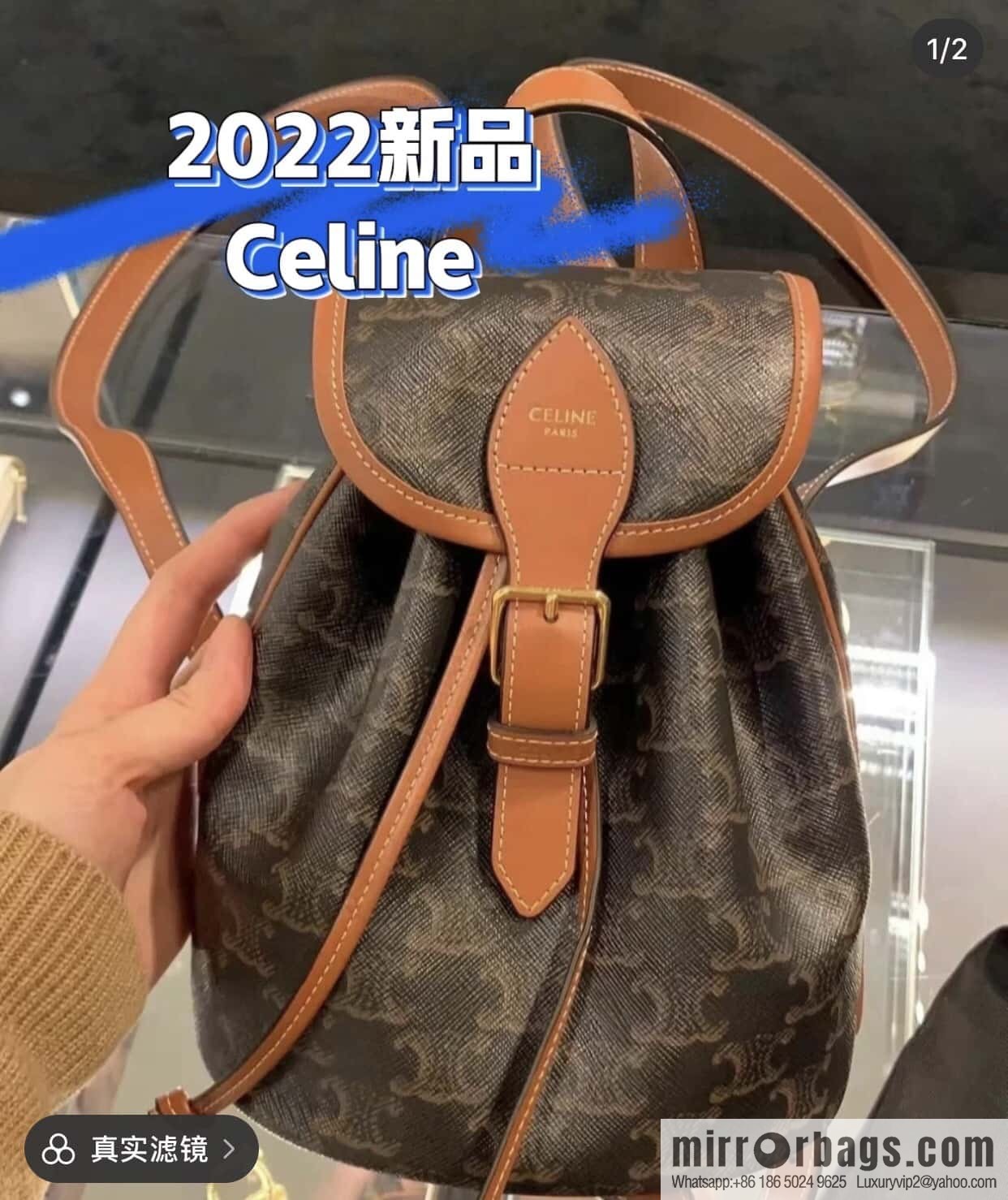 CELINE FOLCO TRIOMPHE CANVAS logo print and cow leather mini backpack 197662