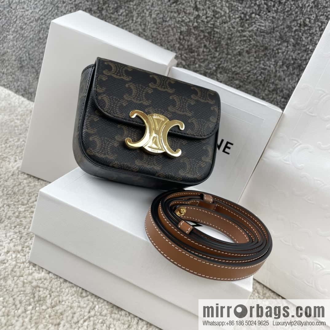 CELINE Mini Arc de Triomphe Iconic Printed Handbag 101513