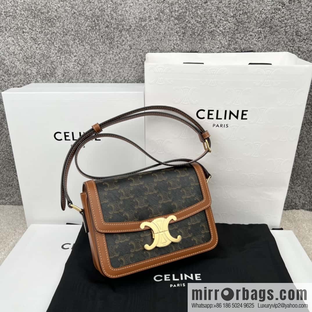 CELINE TRIOMPHE Canvas and calfskin small handbag 188882