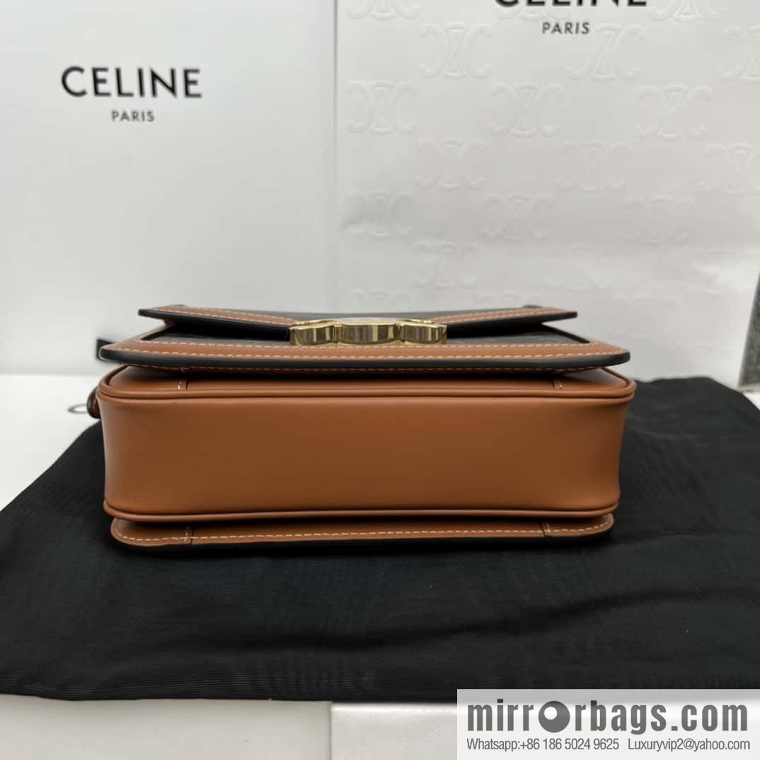 CELINE TRIOMPHE Canvas and calfskin small handbag 188882