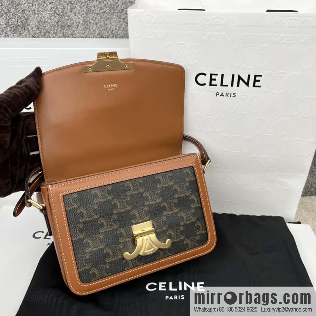 CELINE TRIOMPHE Canvas and calfskin small handbag 188882