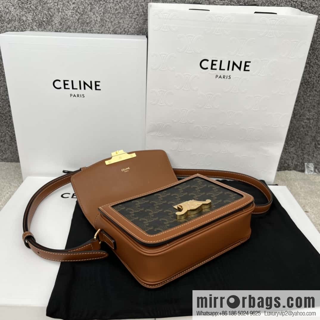 CELINE TRIOMPHE Canvas and calfskin small handbag 188882