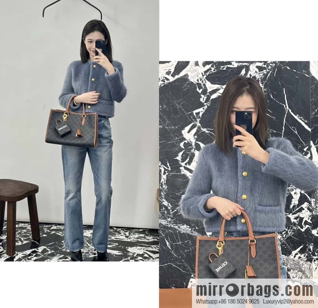 CELINE CABAS TRIOMPHE logo print and cow leather, horizontal mini handbag 197912