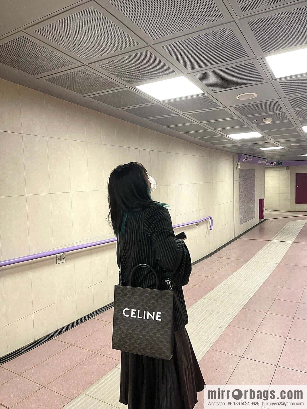 CELINE Medium Printed Tote, Versatile Tote, Classic Triumph Presbyopia Series No.: 191542