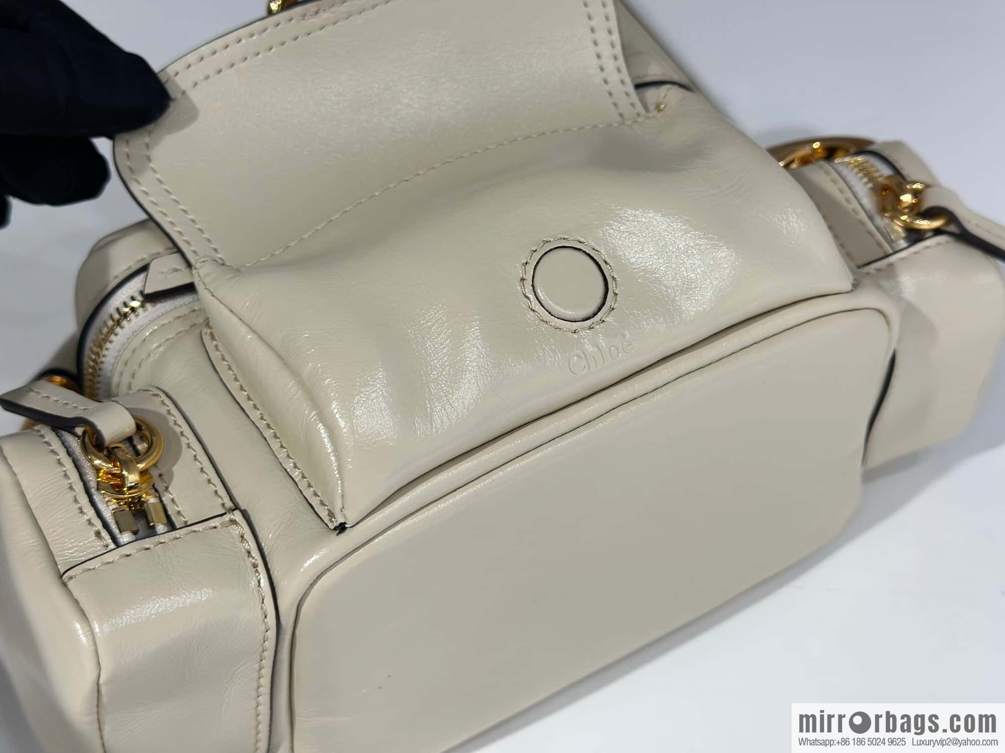 Chloe 2024 New Camera Bag W0653 White