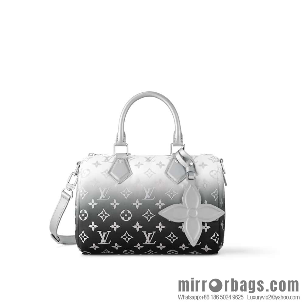[Original order boutique] M11848 silver down, pillow bag speedy series, ski series SPEEDY BANDOULIZRE 25 handbag