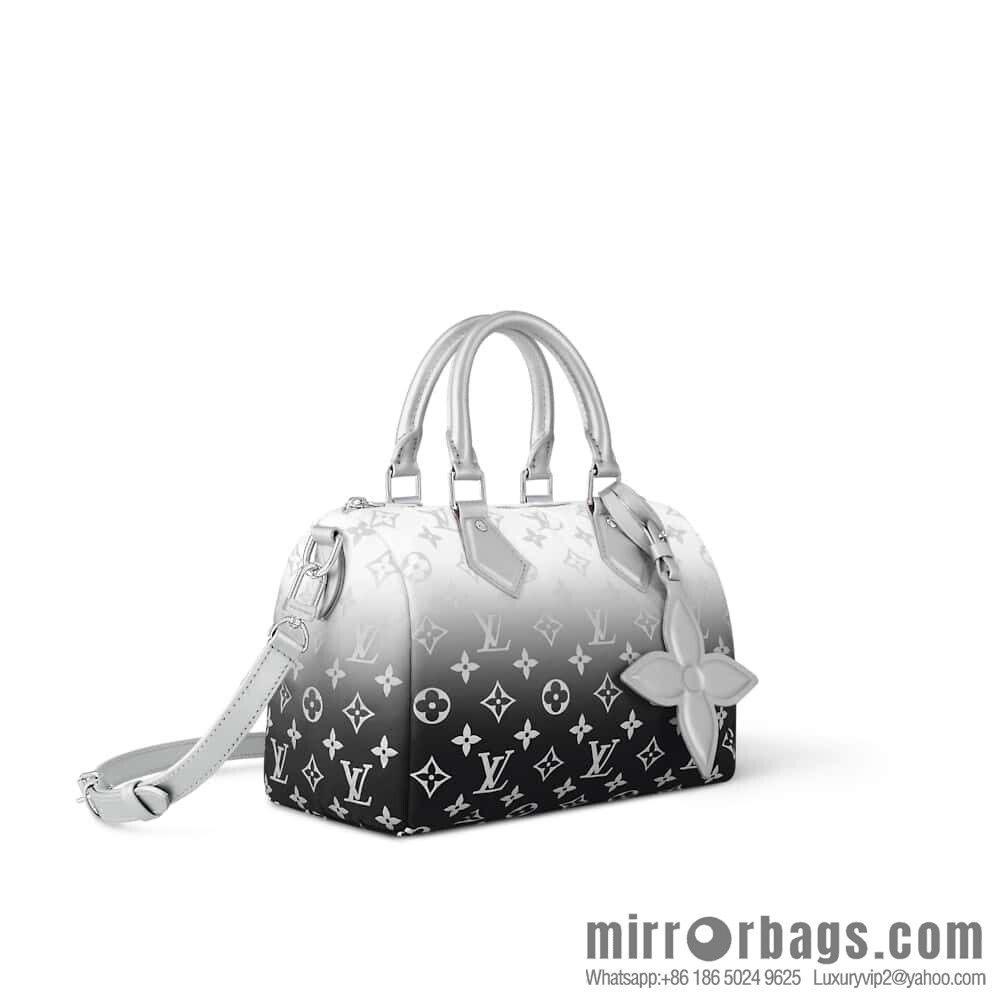 [Original order boutique] M11848 silver down, pillow bag speedy series, ski series SPEEDY BANDOULIZRE 25 handbag