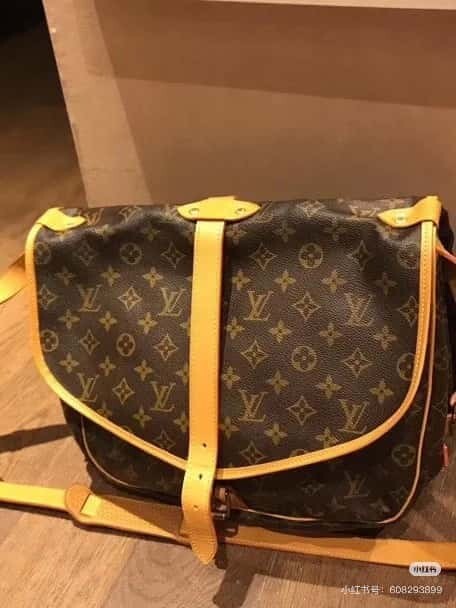 [Original order boutique] M42254 presbyopia, Gemini medium handbag SAUMUR medium handbag, M42254 Gemini bag medium