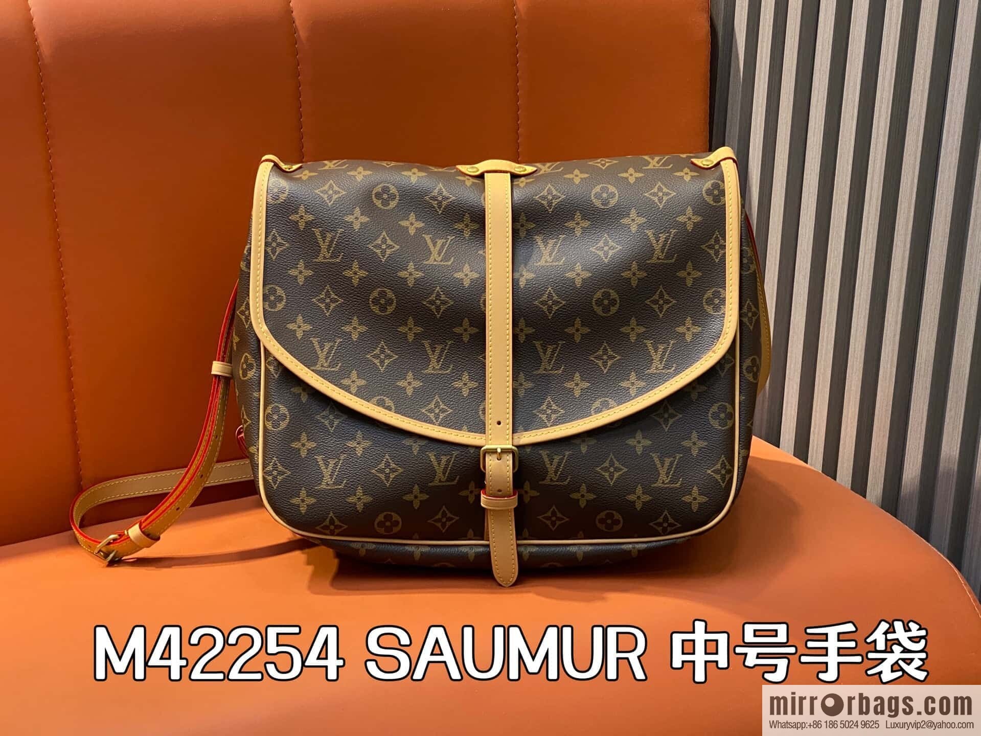 [Original order boutique] M42254 presbyopia, Gemini medium handbag SAUMUR medium handbag, M42254 Gemini bag medium