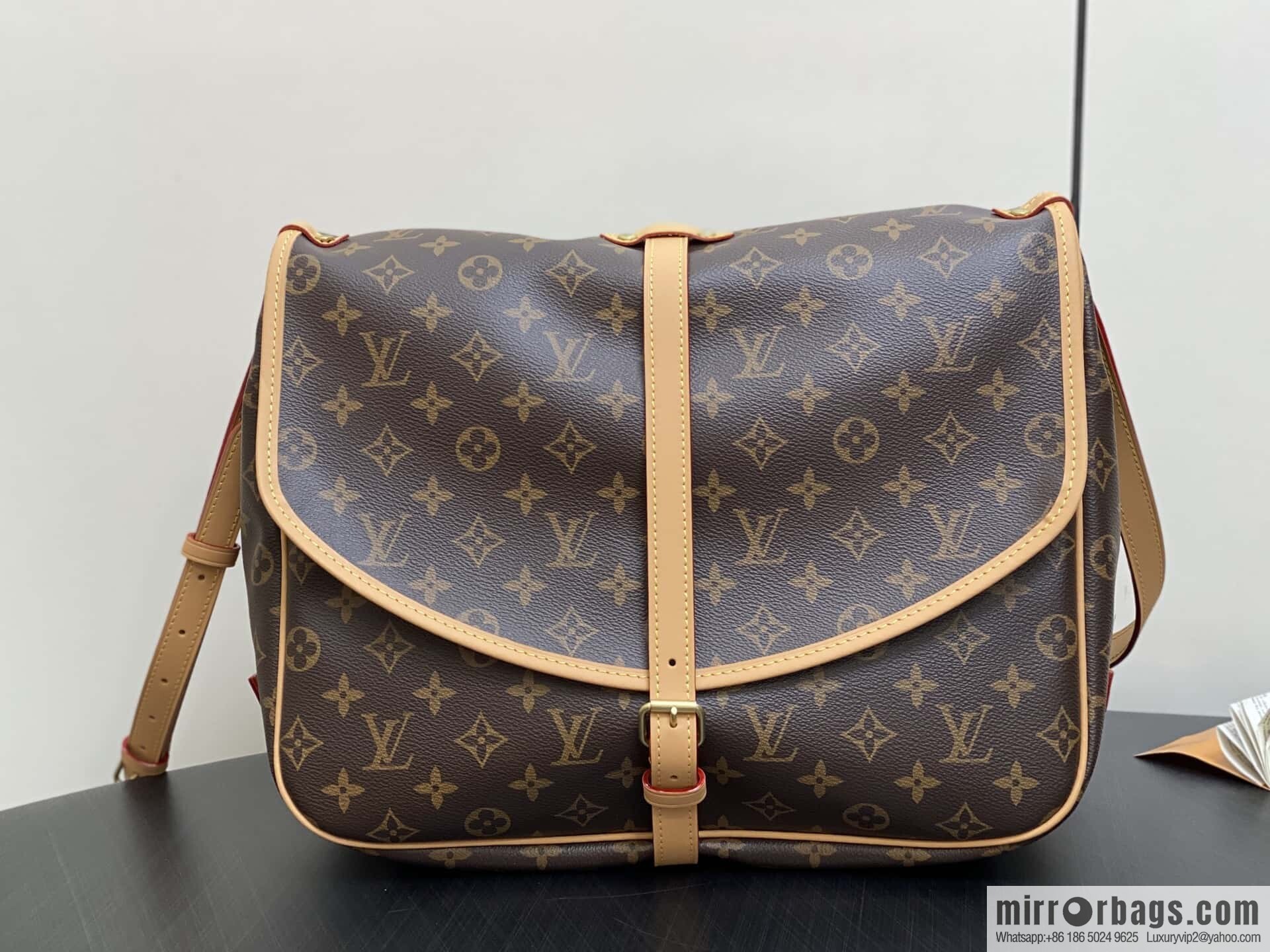 [Original order boutique] M42254 presbyopia, Gemini medium handbag SAUMUR medium handbag, M42254 Gemini bag medium