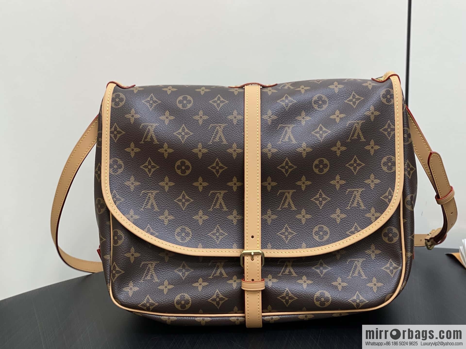 [Original order boutique] M42254 presbyopia, Gemini medium handbag SAUMUR medium handbag, M42254 Gemini bag medium