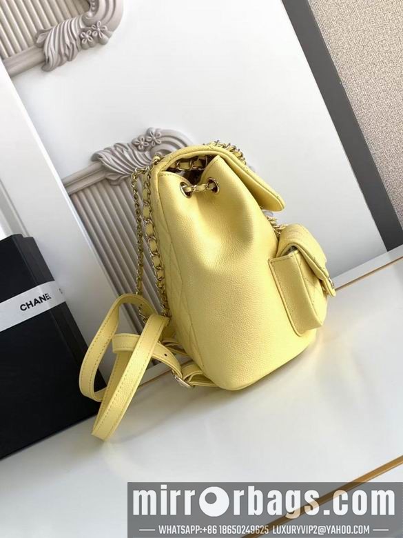 Replica Chanel Bags 3860 21X20X12XZ2色