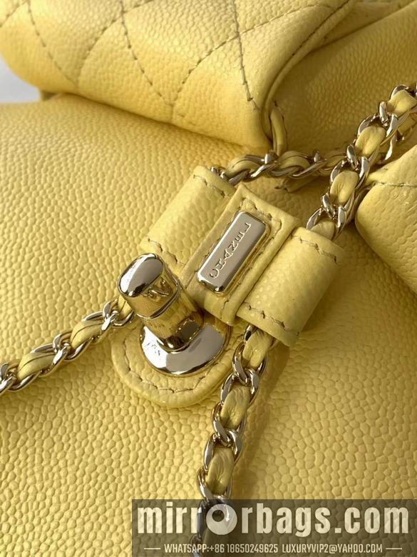 Replica Chanel Bags 3860 21X20X12XZ2色