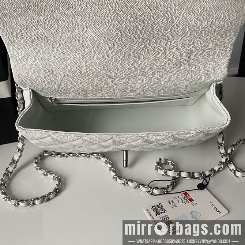 Replica Chanel Bags AS5702 13.5x22.5x6cm XZ3