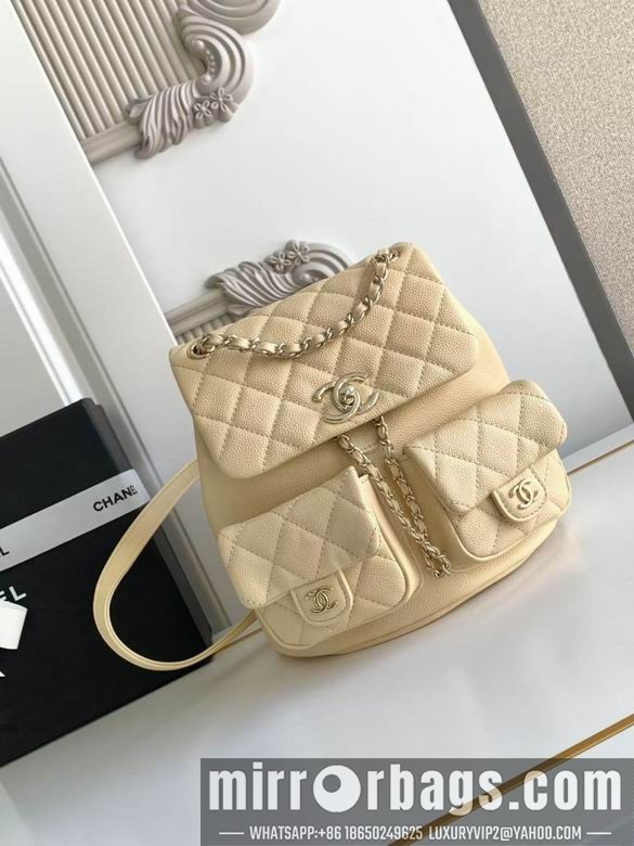 Replica Chanel Bags 3860 21X20X12XZ2色