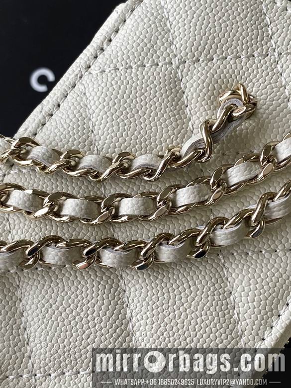 Replica Chanel Bags AP4530 17X9.5X8 XZ4