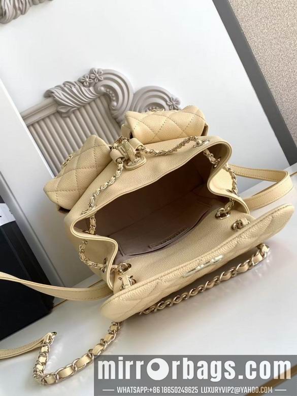 Replica Chanel Bags 3860 21X20X12XZ2色