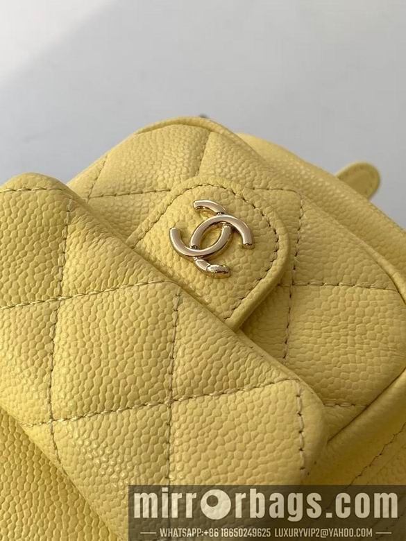 Replica Chanel Bags 3860 21X20X12XZ2色