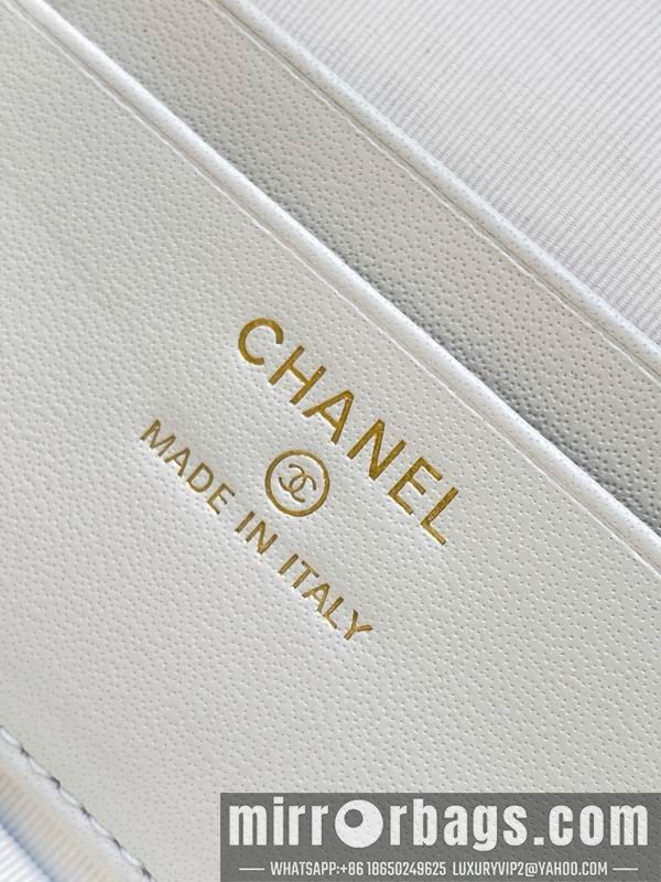 Replica Chanel Bags AP5020 17x19.5x5cm XZ1