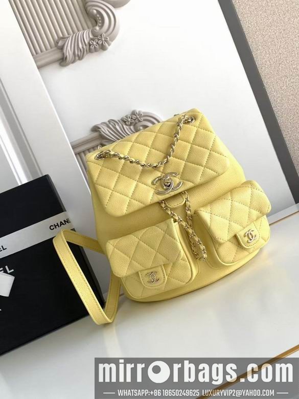 Replica Chanel Bags 3860 21X20X12XZ2色