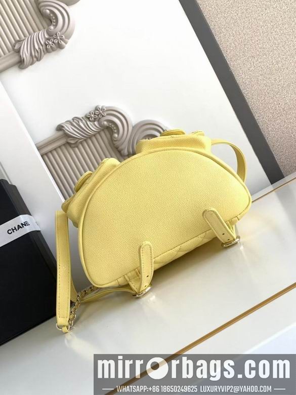 Replica Chanel Bags 3860 21X20X12XZ2色