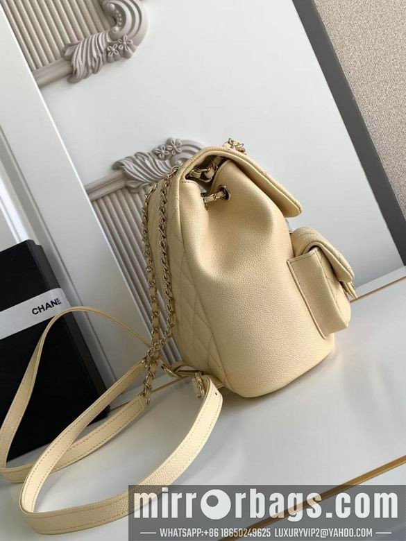 Replica Chanel Bags 3860 21X20X12XZ2色