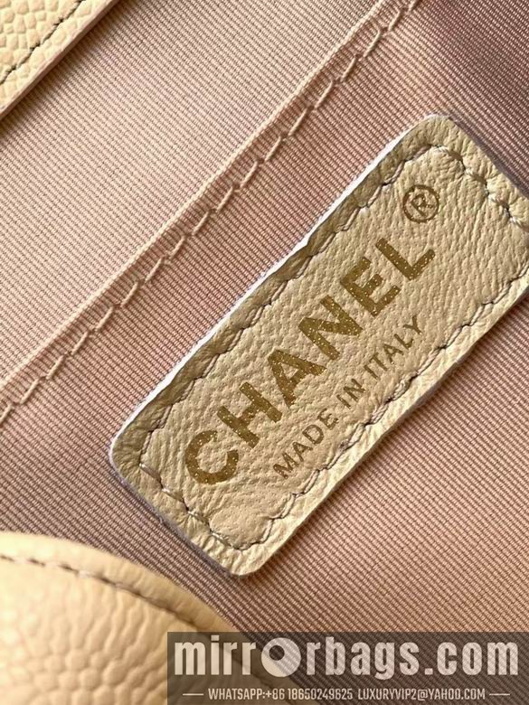 Replica Chanel Bags 3860 21X20X12XZ2色