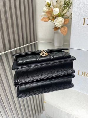 Replica Dior Bags Dior 3105 19.5x12.5x5cm yz