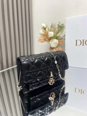 Replica Dior Bags Dior 3105 19.5x12.5x5cm yz