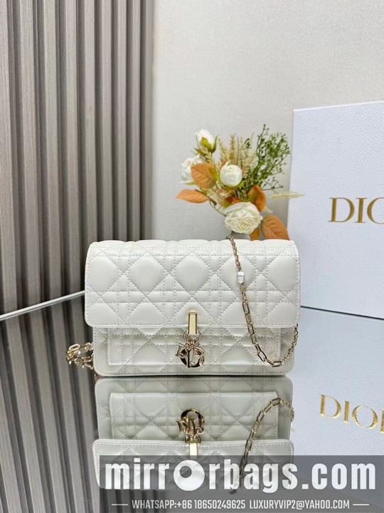 Replica Dior Bags Dior 3105 19.5x12.5x5cm yz1