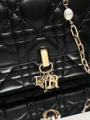 Replica Dior Bags Dior 3105 19.5x12.5x5cm yz