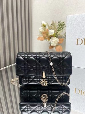 Replica Dior Bags Dior 3105 19.5x12.5x5cm yz