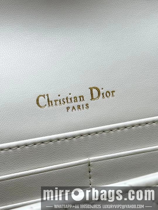 Replica Dior Bags Dior 3105 19.5x12.5x5cm yz1