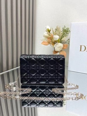 Replica Dior Bags Dior 3105 19.5x12.5x5cm yz