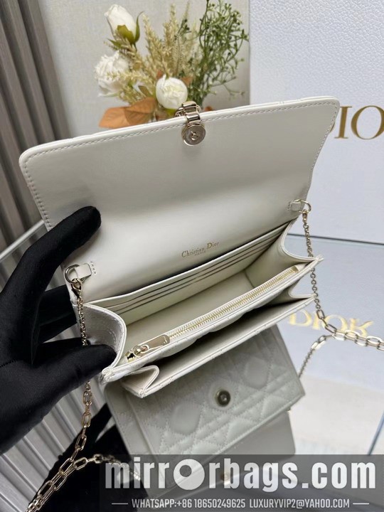 Replica Dior Bags Dior 3105 19.5x12.5x5cm yz1