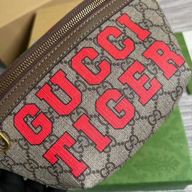 Replica Gucci Bags 675181 23X13X5cm MP