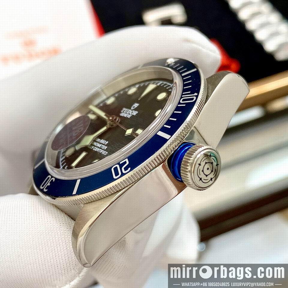 Replica Tudor watch 110801 Watch
