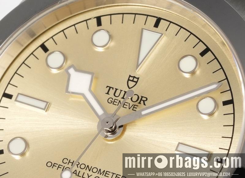 Replica Tudor 41mm 080414 Watch