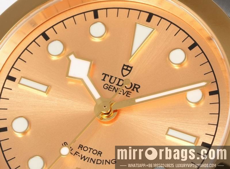 Replica Tudor 41mm 080414 Watch