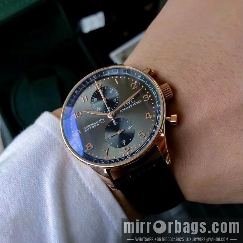 Replica IWC watch 082211 Watch