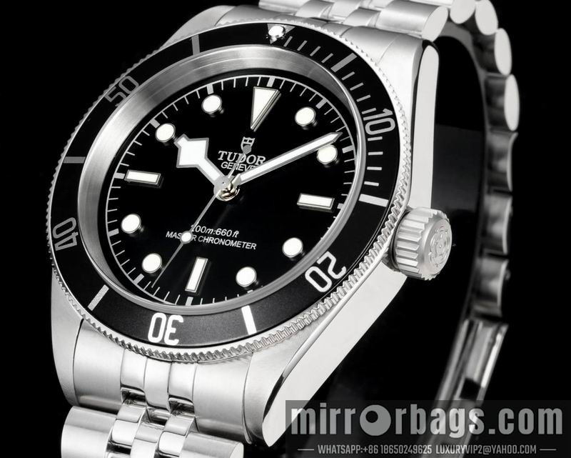 Replica Tudor 41mm 022113 Watch