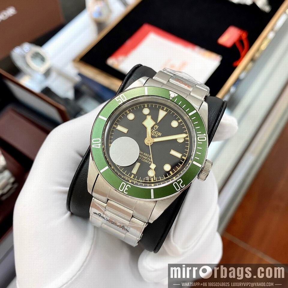 Replica Tudor watch 110801 Watch