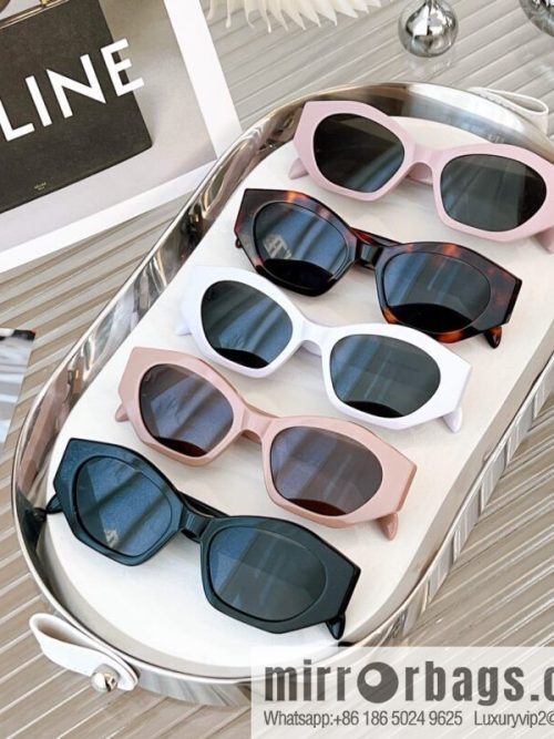 CELINE Large Frame Women\'s Sunglasses