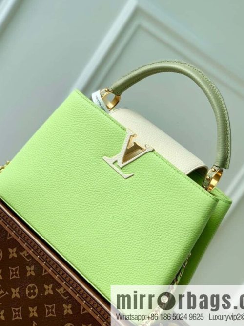 M21689 green with white M22055 CAPUCINES medium handbag