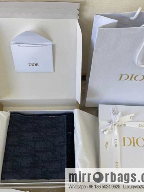 Dior Blue Oblique Print Unisex Scarf