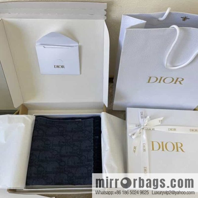 Dior Blue Oblique Print Unisex Scarf